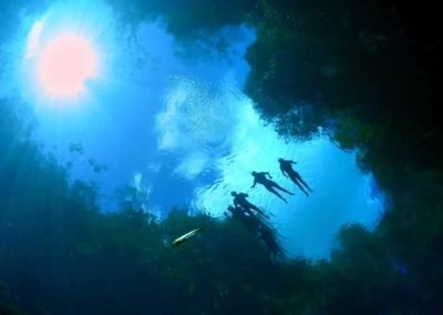 mergulhadores nas águas cristalinas de Bonito vistos de baixo da água