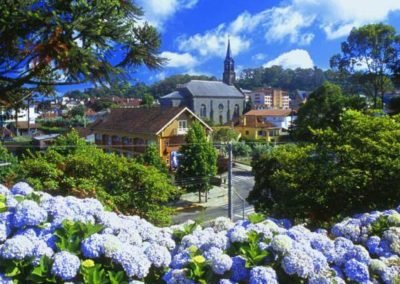 hortências brancas e roxas com cidade ao fundo em Gramado