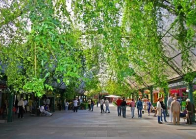 rua coberta com vegetação no teto em Gramado
