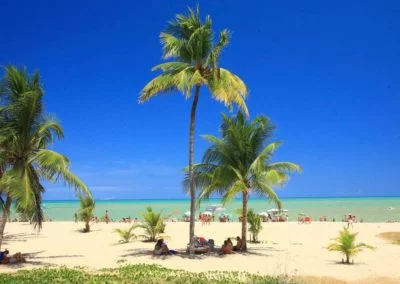 coqueiros na areia em frente a praia em João Pessoa