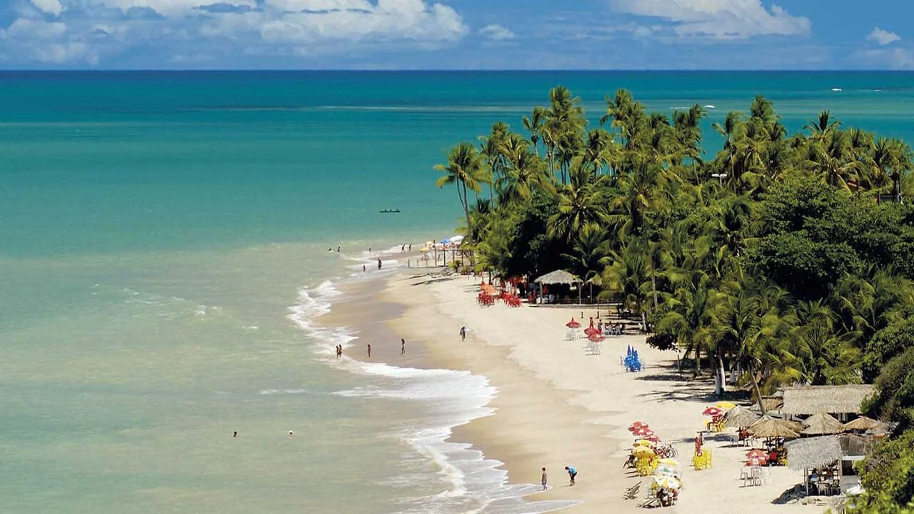 praia em João Pessoa com água de cor esverdeada areia branca e vegetação