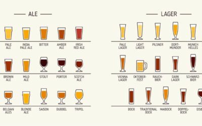 Quais tipos de cerveja existem? Entenda as diferenças!