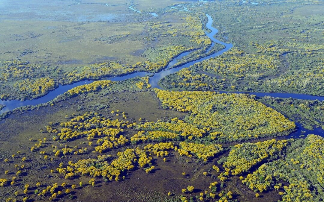 Pantanal
