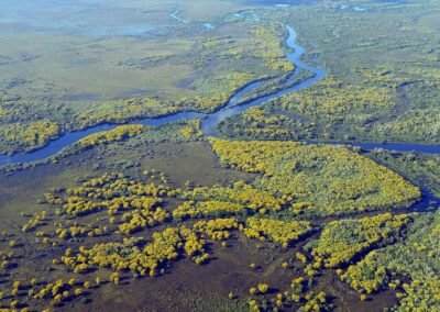 Pantanal