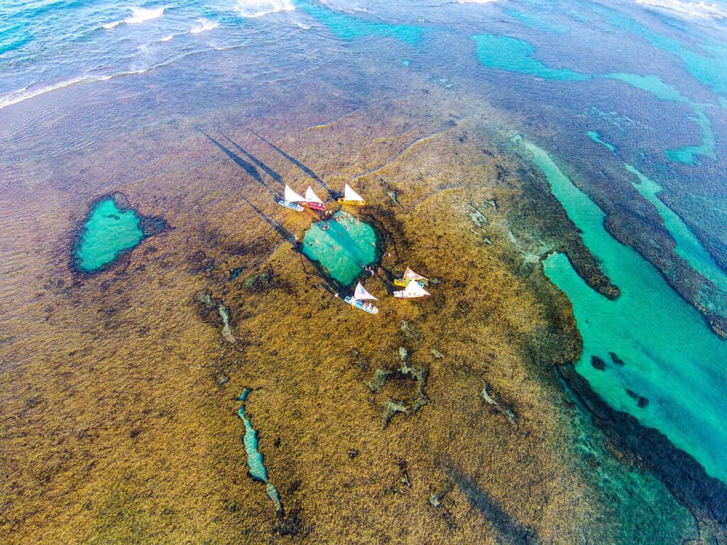 piscinas naturais em Porto de Galinhas