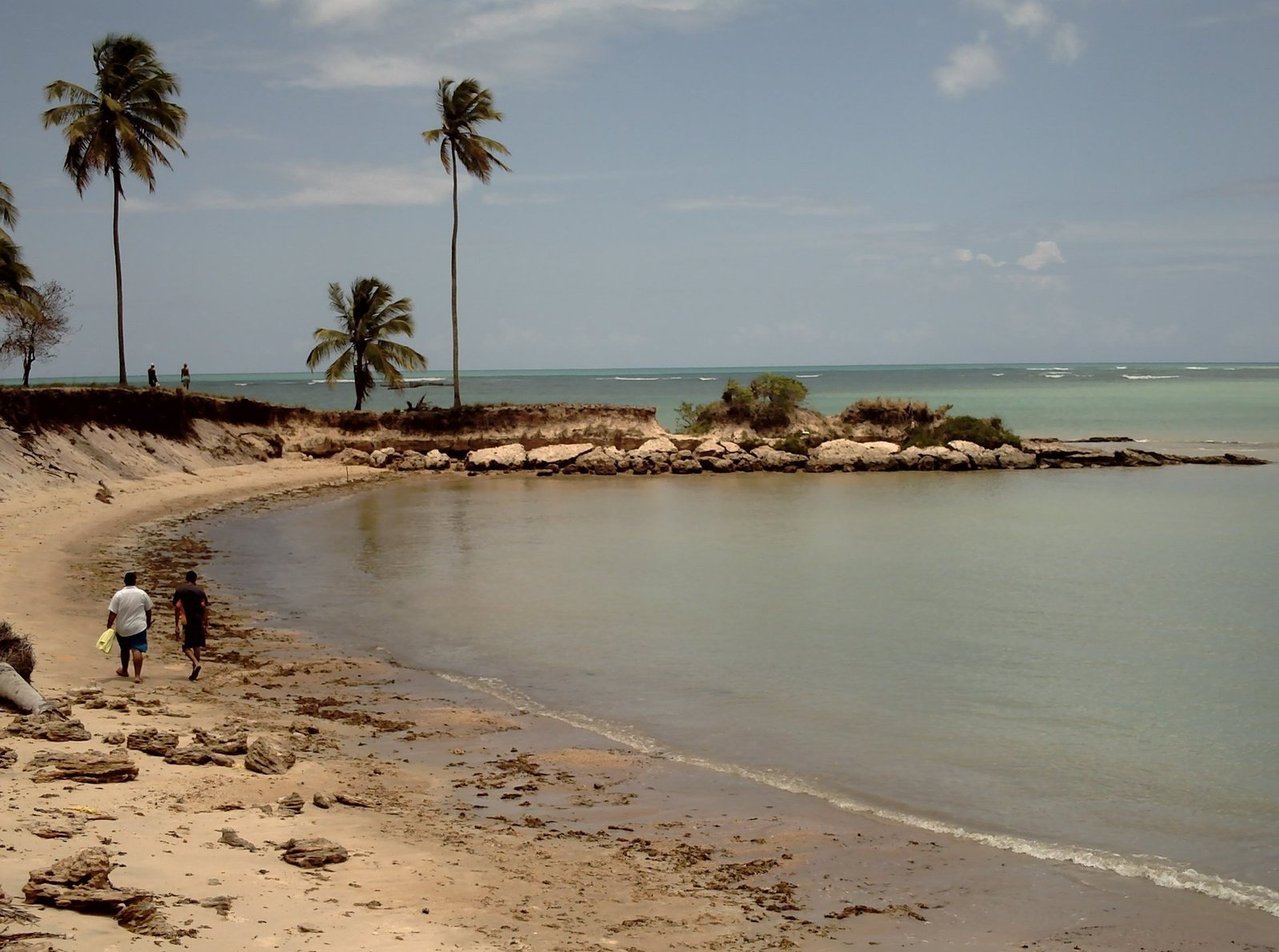bancada de areia com coqueiros na Praia de Paripueira
