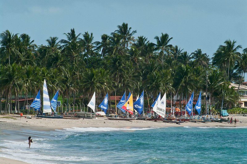 jangadas e coqueirais em Porto de Galinhas