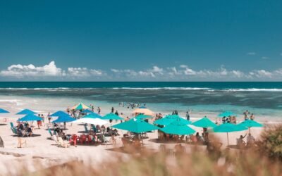 Saiba qual a melhor época para ir para Porto de Galinhas/PE